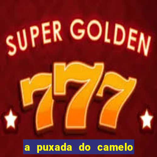 a puxada do camelo no jogo do bicho